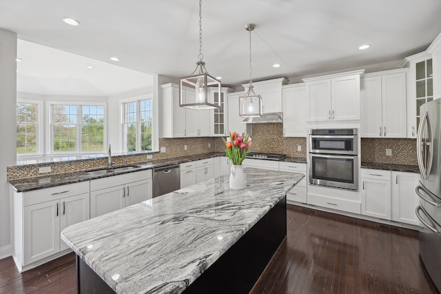 1840 Tapadera Dr, Ann Arbor, MI 48103 - kitchen featuring a sink, stainless steel appliances, under cabinet range hood, dark wood-type flooring, and glass insert cabinets