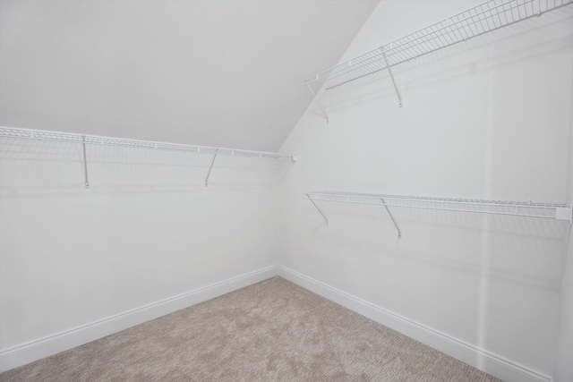1840 Tapadera Dr, Ann Arbor, MI 48103 - walk in closet featuring vaulted ceiling and carpet