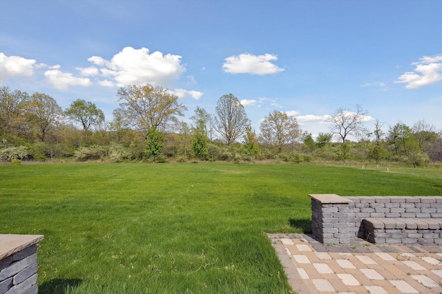 1840 Tapadera Dr, Ann Arbor, MI 48103 - view of green lawn