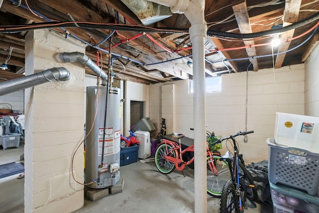 19433 Fenmore St, Detroit, MI 48235 - basement with water heater and concrete block wall