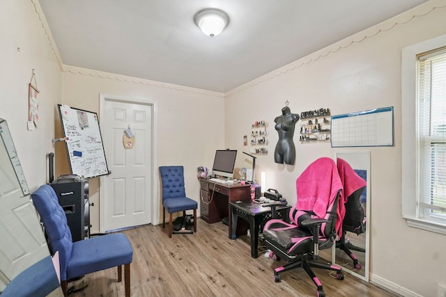 19433 Fenmore St, Detroit, MI 48235 - office space with light wood-style flooring and baseboards