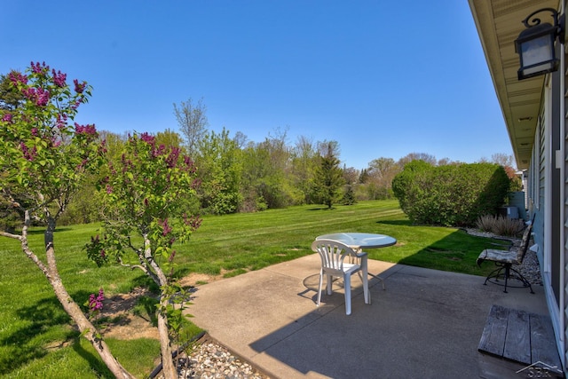 1 Sanctuary Way, Freeland, MI 48623 - view of patio