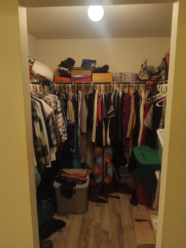walk in closet featuring wood finished floors
