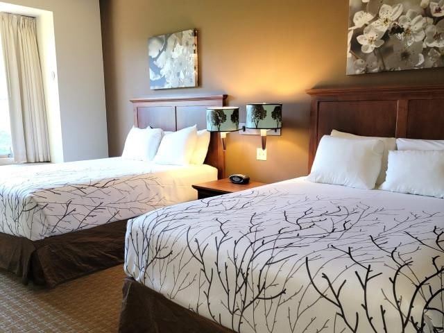 2400 Troon S, Bellaire, MI 49615 - bedroom featuring carpet flooring