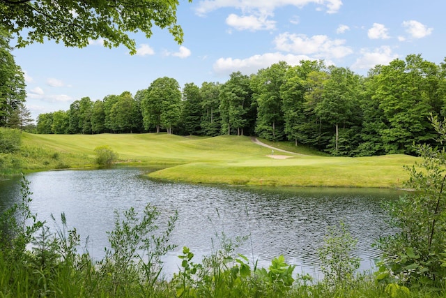 2400 Troon S, Bellaire, MI 49615 - water view featuring a local golf course