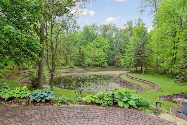 42259 White Hart Blvd, Canton, MI 48188 - view of community featuring a water view and a yard