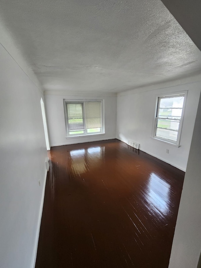 8428 Rosemont Ave, Detroit, MI 48228 - empty room featuring plenty of natural light, wood finished floors, a textured ceiling, and baseboards