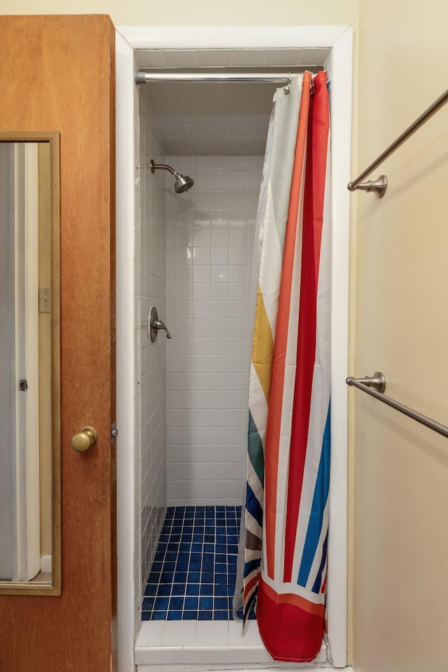 212 W Mckay St, Saline, MI 48176 - bathroom featuring a shower stall
