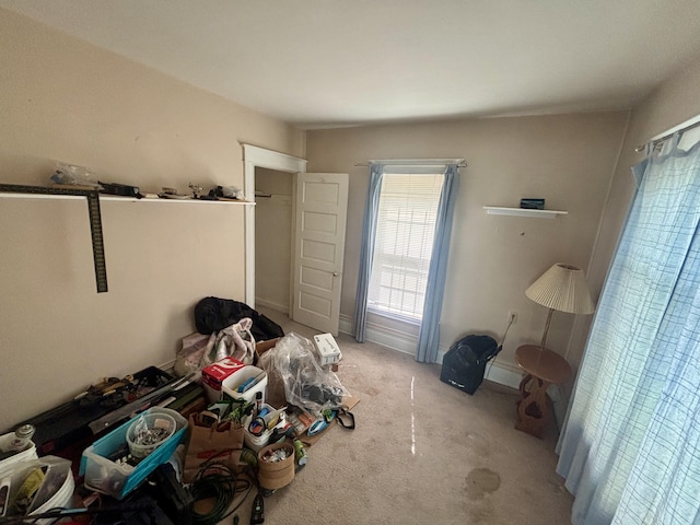 unfurnished bedroom featuring carpet floors