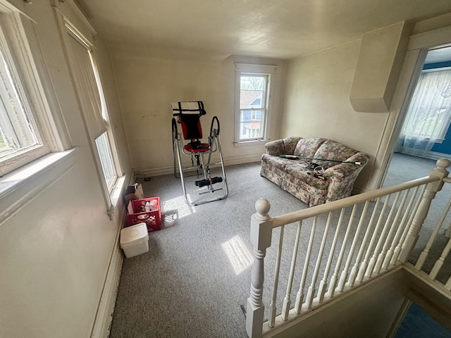 exercise area with carpet flooring, plenty of natural light, and baseboards