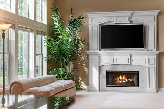 1433 Bicentennial Pkwy, Ann Arbor, MI 48108 - detailed view of a large fireplace
