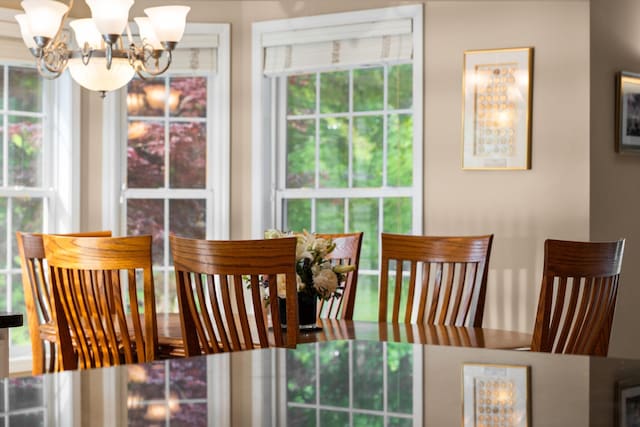 1433 Bicentennial Pkwy, Ann Arbor, MI 48108 - dining area featuring a chandelier