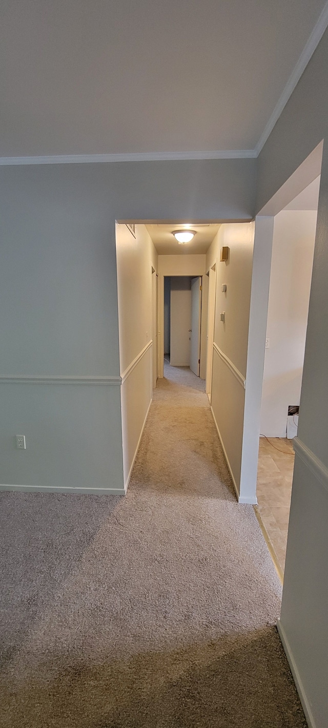 21276 Abrahm St, Clinton Township, MI 48035 - hallway with carpet floors, crown molding, and baseboards