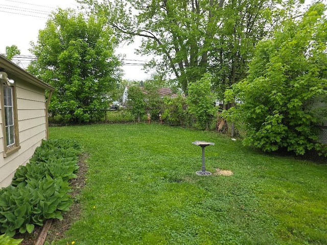 28465 John Hauk St, Garden City, MI 48135 - view of yard