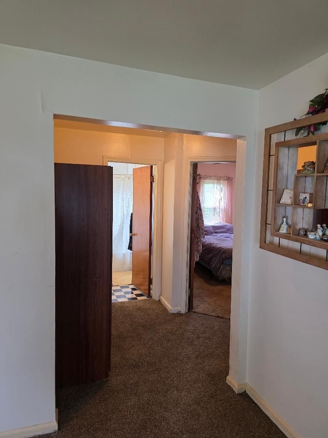 28465 John Hauk St, Garden City, MI 48135 - corridor with carpet and baseboards