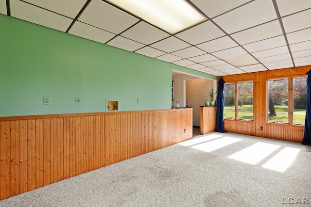 601 N Occidental Rd, Tecumseh, MI 49286 - spare room with carpet flooring, wood walls, and a drop ceiling