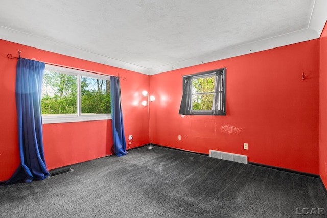 601 N Occidental Rd, Tecumseh, MI 49286 - view of carpeted empty room