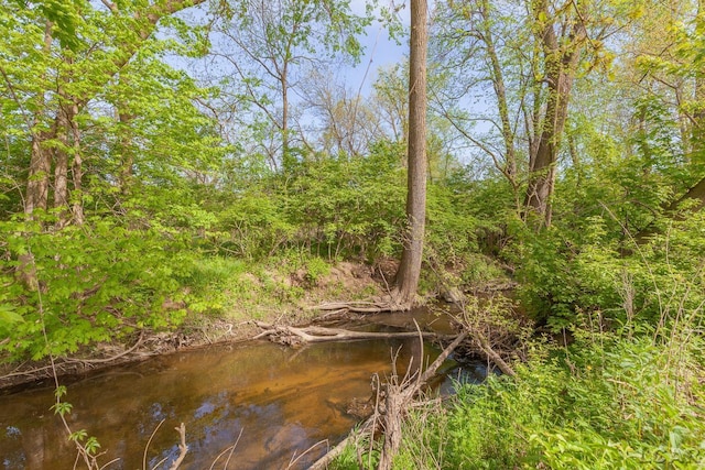 601 N Occidental Rd, Tecumseh, MI 49286 - view of local wilderness