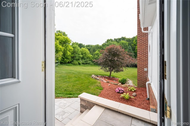 2449 Woodvale Trl, Brighton, MI 48114 - view of green lawn