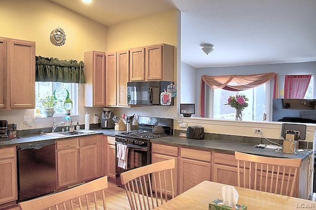 9299 Parkland Dr, Ypsilanti, MI 48197 - kitchen with black appliances, a sink, dark countertops, light wood-type flooring, and open floor plan