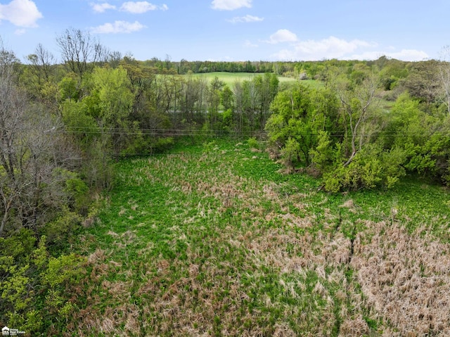 1611 E Bennington Rd, Owosso, MI 48867