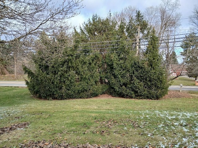 3531 E Commerce Rd, Commerce Twp, MI 48382 - view of grassy yard