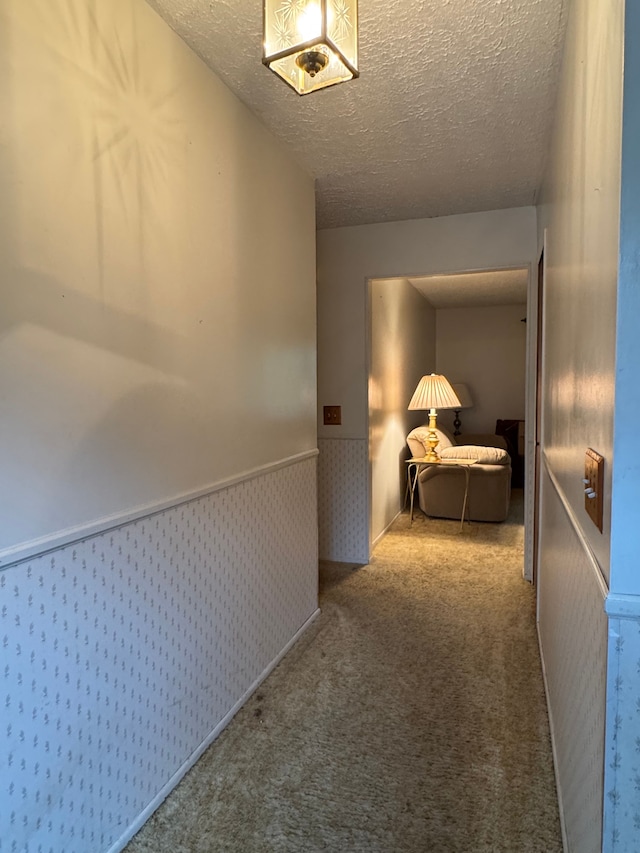 8610 N Waumegah Rd, Clarkston, MI 48348 - hallway with a wainscoted wall, a textured ceiling, and carpet flooring