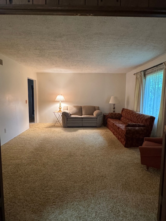 8610 N Waumegah Rd, Clarkston, MI 48348 - living area featuring carpet flooring and a textured ceiling