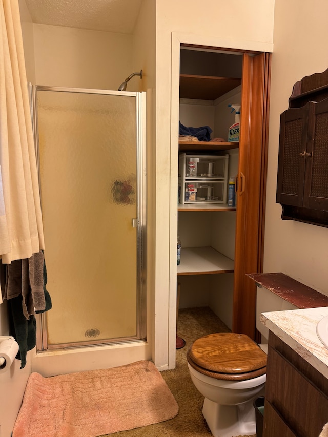 8610 N Waumegah Rd, Clarkston, MI 48348 - full bathroom with a stall shower, toilet, and vanity