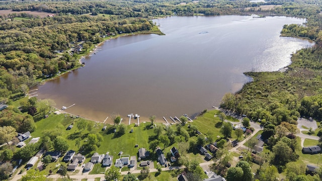 3309 Dumont Lake Dr, Allegan, MI 49010 - aerial overview of property's location featuring a nearby body of water and a heavily wooded area