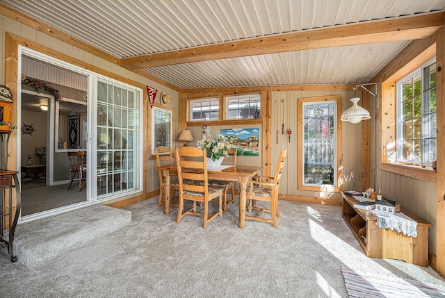3309 Dumont Lake Dr, Allegan, MI 49010 - view of sunroom