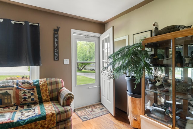 doorway to outside featuring plenty of natural light and light wood-style flooring