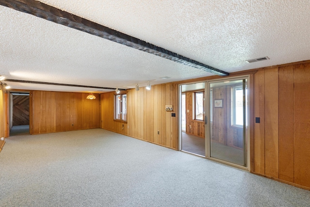 14427 Acorn Cove Trl, Battle Creek, MI 49017 - carpeted empty room featuring a textured ceiling, rail lighting, wood walls, and healthy amount of natural light