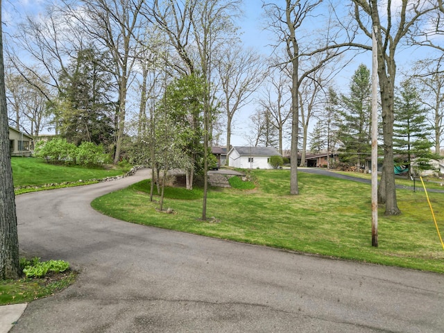 14427 Acorn Cove Trl, Battle Creek, MI 49017 - view of asphalt road