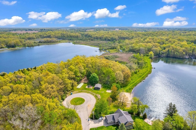 144 Westshore Dr, Jerome, MI 49249 - drone / aerial view of a heavily wooded area and a large body of water