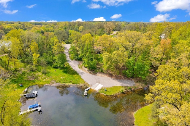 144 Westshore Dr, Jerome, MI 49249 - drone / aerial view of a forest and a large body of water