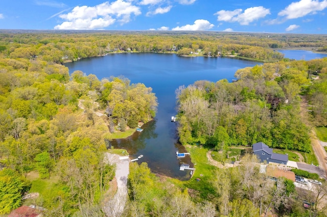 144 Westshore Dr, Jerome, MI 49249 - bird's eye view of a forest and a large body of water