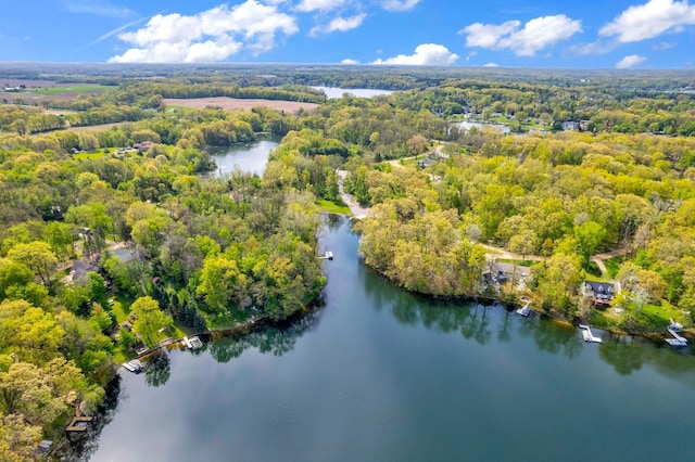 144 Westshore Dr, Jerome, MI 49249 - bird's eye view of a heavily wooded area and a large body of water