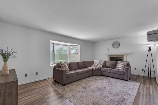 17035 Weber Rd, Holly, MI 48442 - living area featuring a glass covered fireplace, wood finished floors, and baseboards