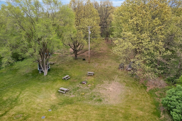 17035 Weber Rd, Holly, MI 48442 - drone / aerial view