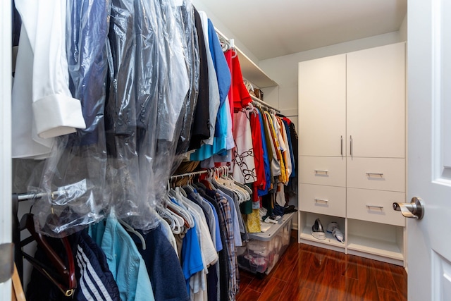 walk in closet featuring wood finished floors