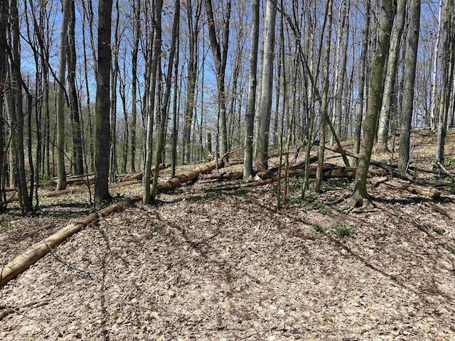 LOT38 Courchevel Ln, Bellaire, MI 49615