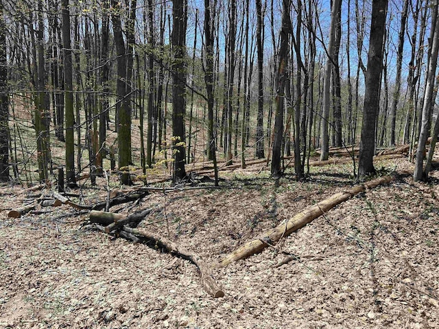 LOT38 Courchevel Ln, Bellaire, MI 49615