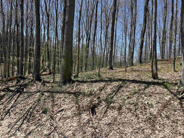 LOT38 Courchevel Ln, Bellaire, MI 49615