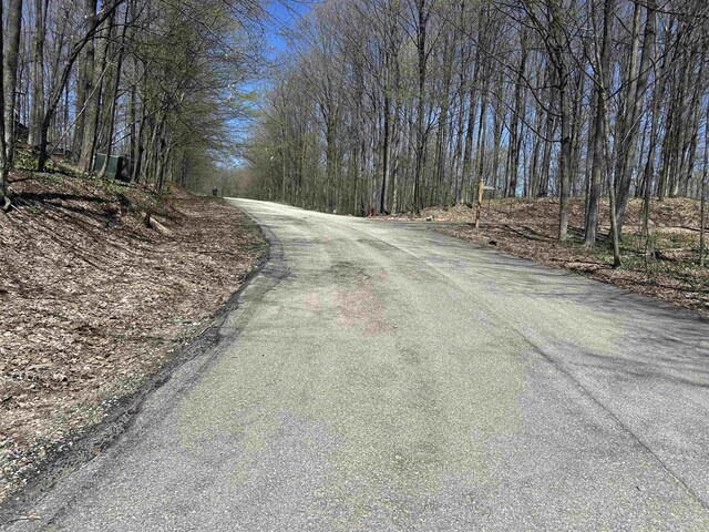 LOT38 Courchevel Ln, Bellaire, MI 49615