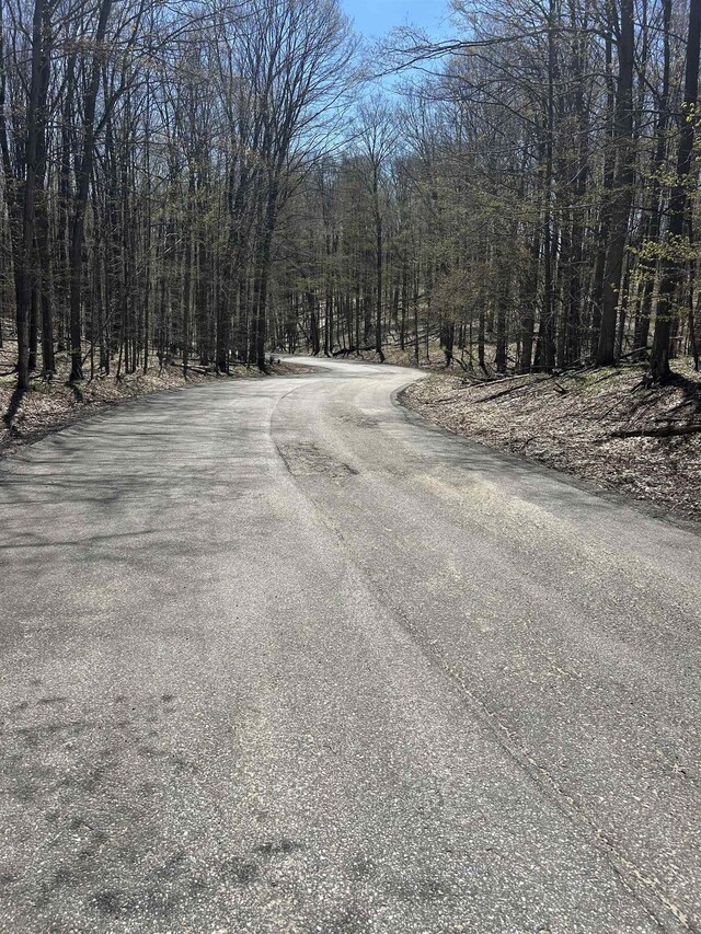 LOT38 Courchevel Ln, Bellaire, MI 49615