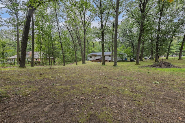 13195 Rainbow Dr, Gregory, MI 48137 - view of yard