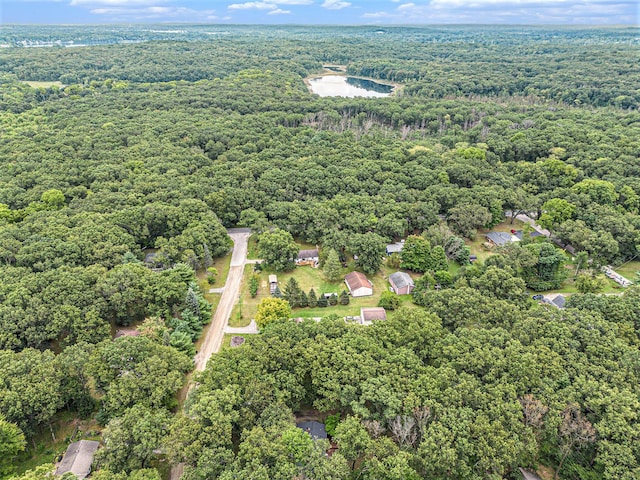 13195 Rainbow Dr, Gregory, MI 48137 - aerial view of property's location with a forest
