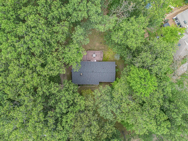 13195 Rainbow Dr, Gregory, MI 48137 - aerial view of property and surrounding area