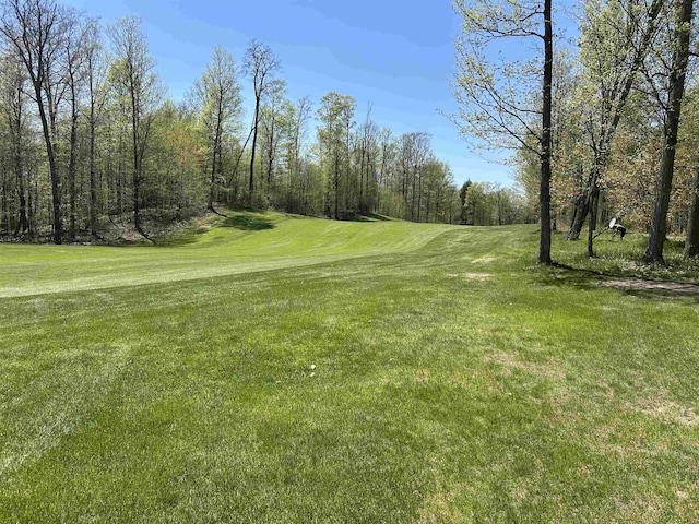 LOT8 Whitetail Dr, Bellaire, MI 49615